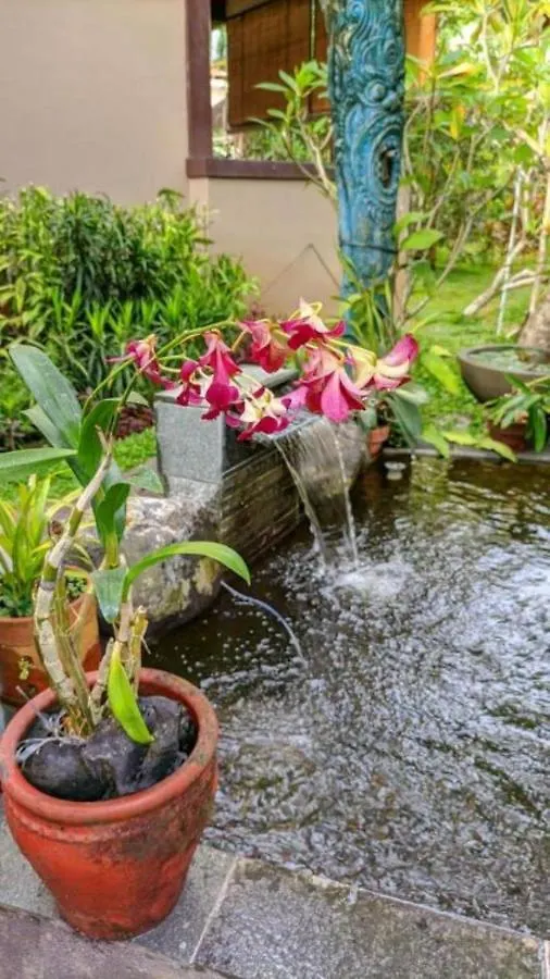 Bed & Breakfast Indraprastha 2 Bungalow Ubud